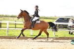 SBM_003601