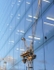 Reflection Of Crane