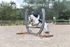 BPP_0269