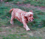 On The Move