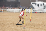 SBM_004348