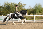 SBM_01263