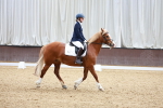 SBM_000497