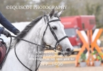 BPP_1406