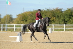 SBM_002784