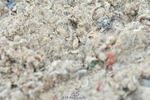 230326A-143930-02011