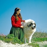 My big fluffy companion