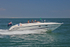 170618 STIRRED NOT SHAKEN - SUNSEEKER 1Y3A5945
