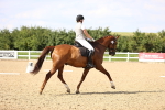 SBM_002790