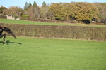 WJ6_3295