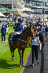 270523-Race 3-Chipstead-0361