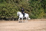 WJ6_6983