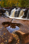 Leafy Cascades