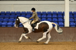 SBM_002031