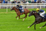 140723-Race 2-Swingalong-8134