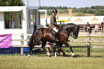 SBM_18747