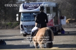BPP_6952