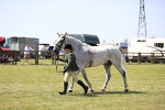 SBM_16175