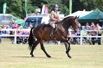 Championships portfolio