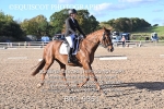 BPP_9351