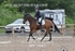 BPP_9687
