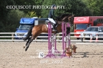 BPP_2893