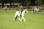 SBM_71565