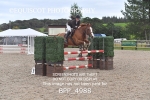 BPP_4988