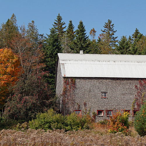 Autumn's onset along a country road in rural Kings County, New Brunswick.