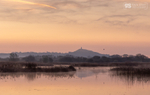 Morning reflection, Avalon Marshes