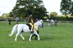 SBM_39707