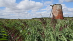 Old water mill ~ Walberswick nature reserve, Suffolk