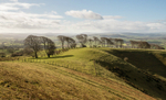Linley Hill