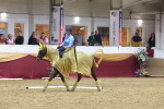 SBM_09824