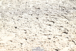 260705A-103721-19051