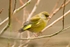 20120204-_MG_8430