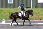SIAL9178