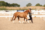 SBM_04667