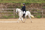 SBM_001262