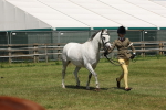 SBM_06768