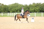 SBM_001423