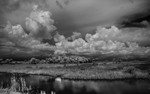 Double Trail Seven Mile Slough