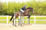 SBM_005036
