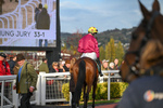 241025-Race 7-Ideal Des Bordes-5826