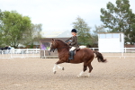 SBM_00275