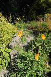 IMGL7758_2