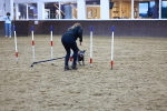 SBM_006004