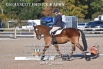 BPP_8156