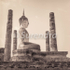 Wat Mahathat # 5