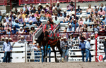 3HRodeo7-19-25_CFD_03938_